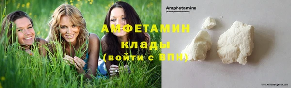 амф Аркадак