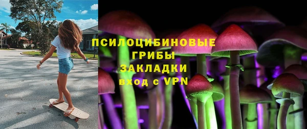 амф Аркадак
