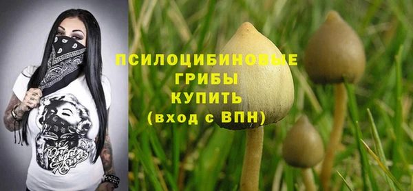 амф Аркадак