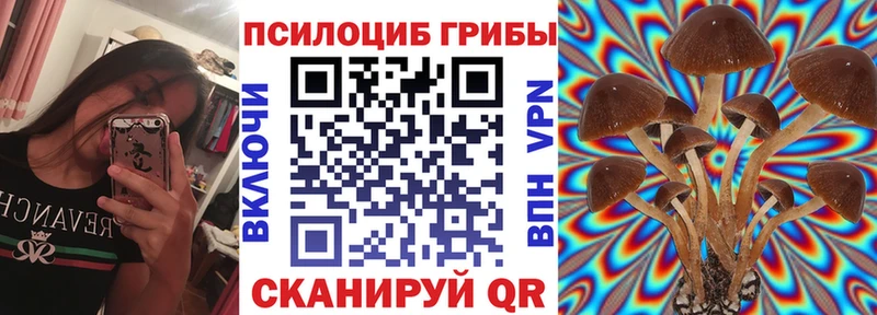 Псилоцибиновые грибы Psilocybine cubensis Дигора